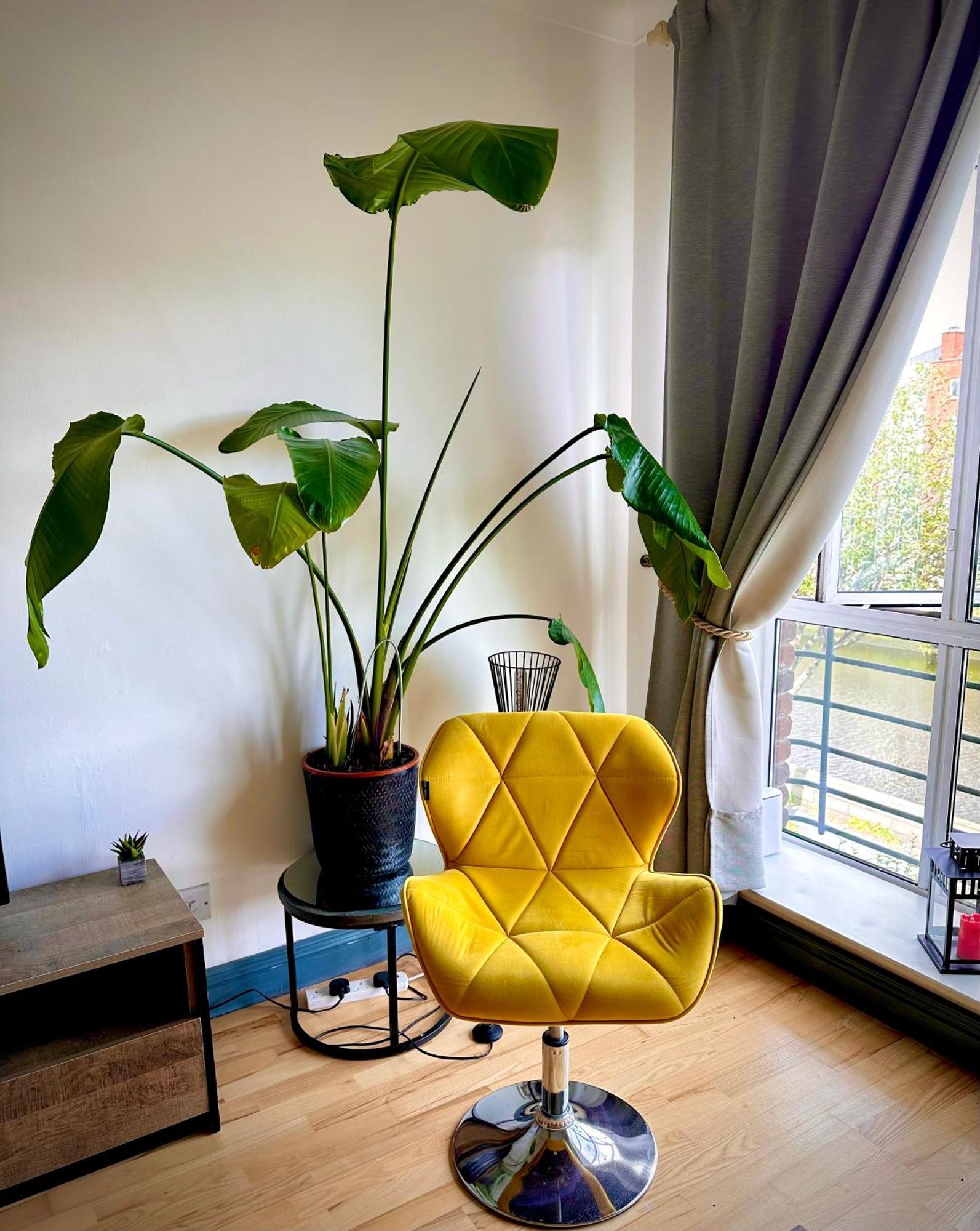 Riverview Apartment Dublin Luaran gambar
